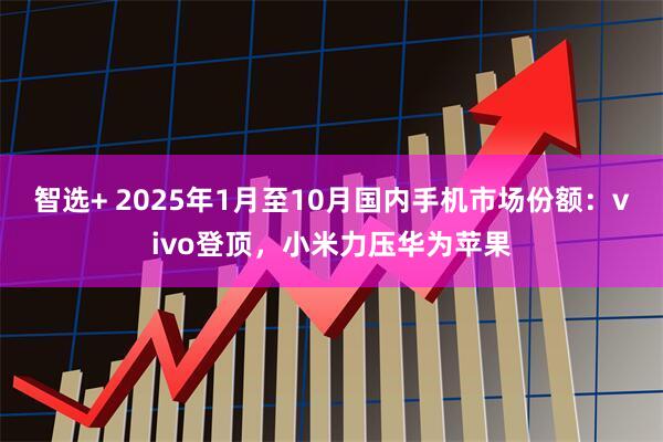 智选+ 2025年1月至10月国内手机市场份额：vivo登顶，小米力压华为苹果
