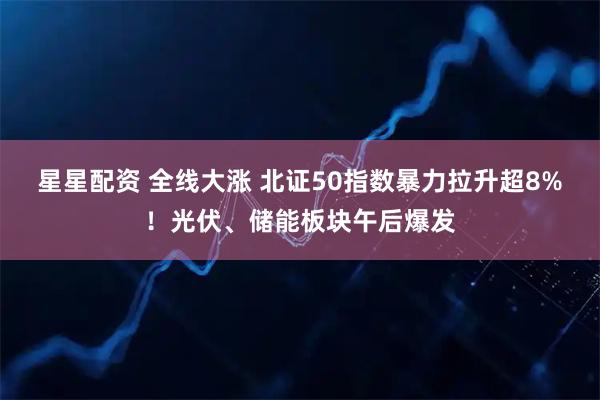 星星配资 全线大涨 北证50指数暴力拉升超8%！光伏、储能板块午后爆发