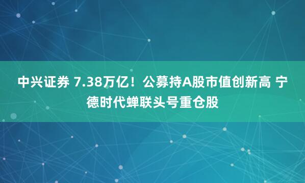 中兴证券 7.38万亿！公募持A股市值创新高 宁德时代蝉联头号重仓股