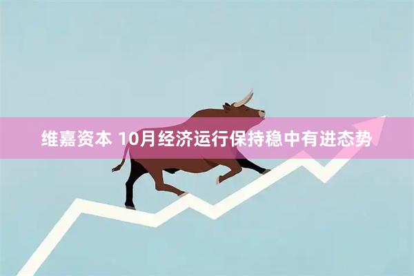 维嘉资本 10月经济运行保持稳中有进态势