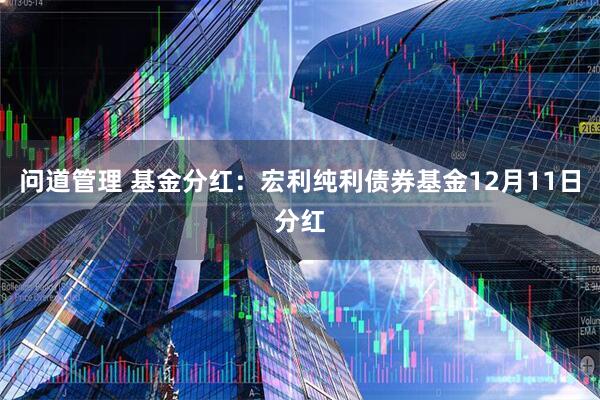 问道管理 基金分红：宏利纯利债券基金12月11日分红