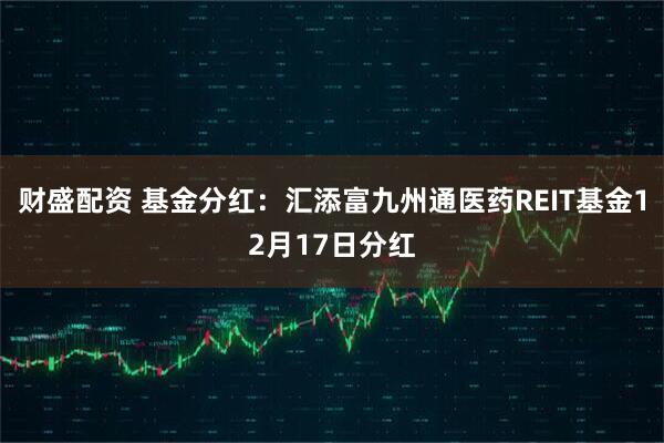 财盛配资 基金分红：汇添富九州通医药REIT基金12月17日分红